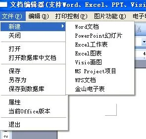 文档编辑器界面2